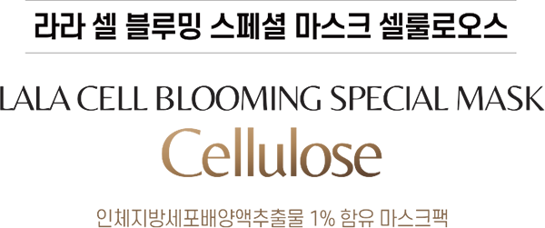 블루밍마스크
